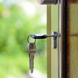 Basics of Property Law